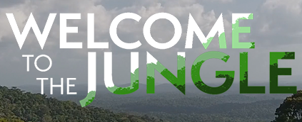 THUMBNAIL-Welcome-to-the-Jungle-Website-1