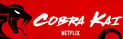 cobra_kai-3
