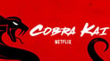 cobra_kai-3