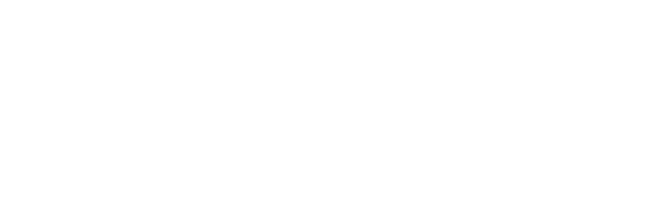 Logo-Jun_02-PlayFly