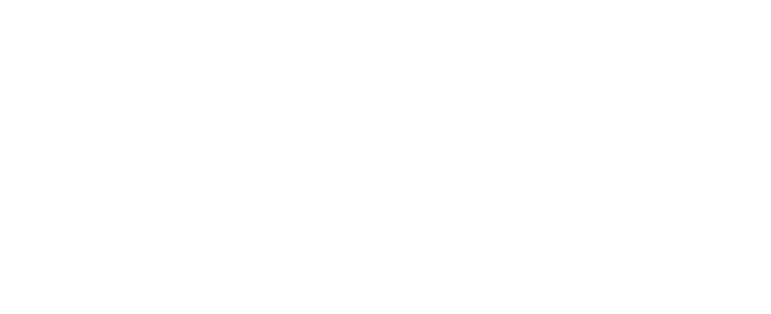 Logo-Jun_02-StellaArtois